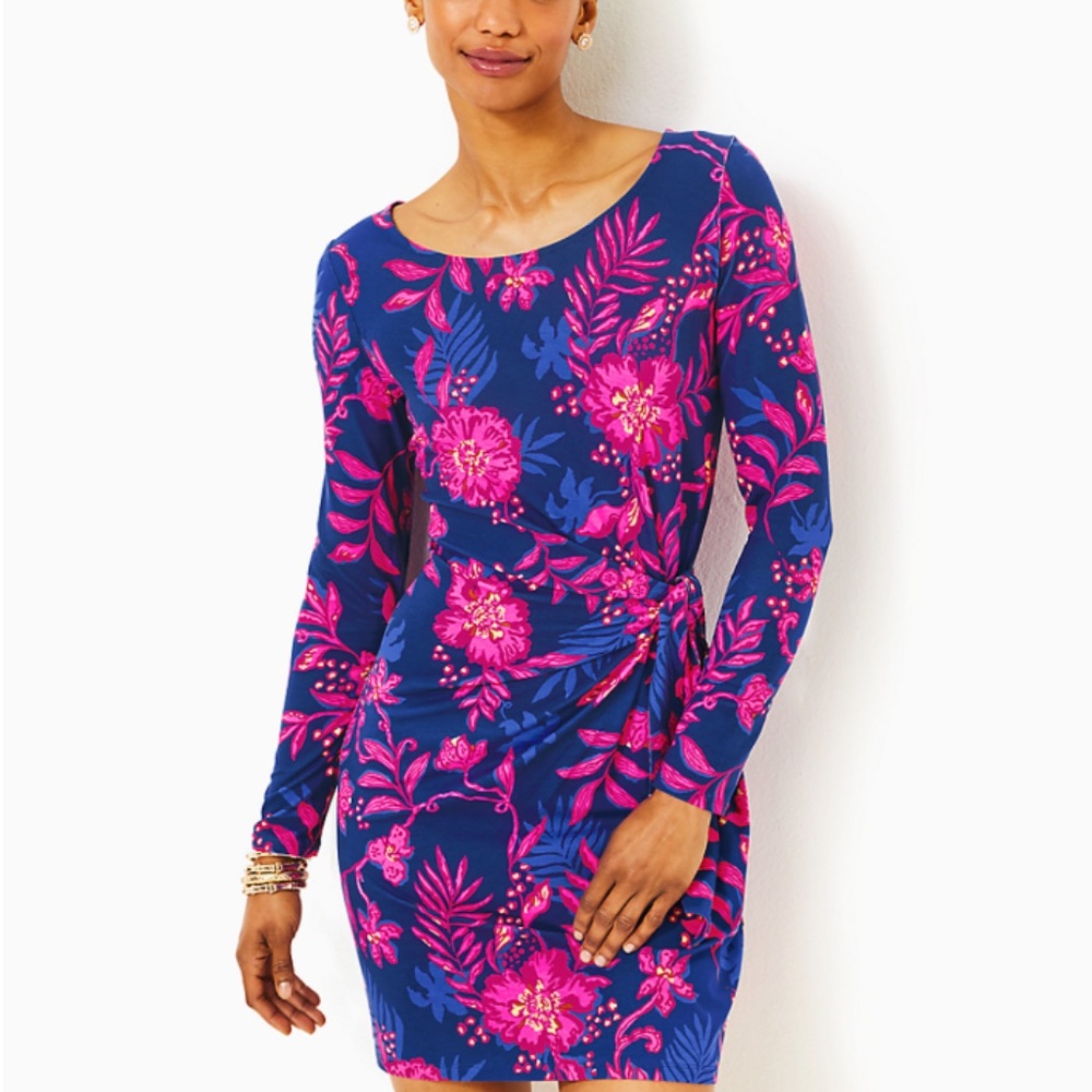 Lilly Pulitzer Bryson Dress - Picture 4 of 5